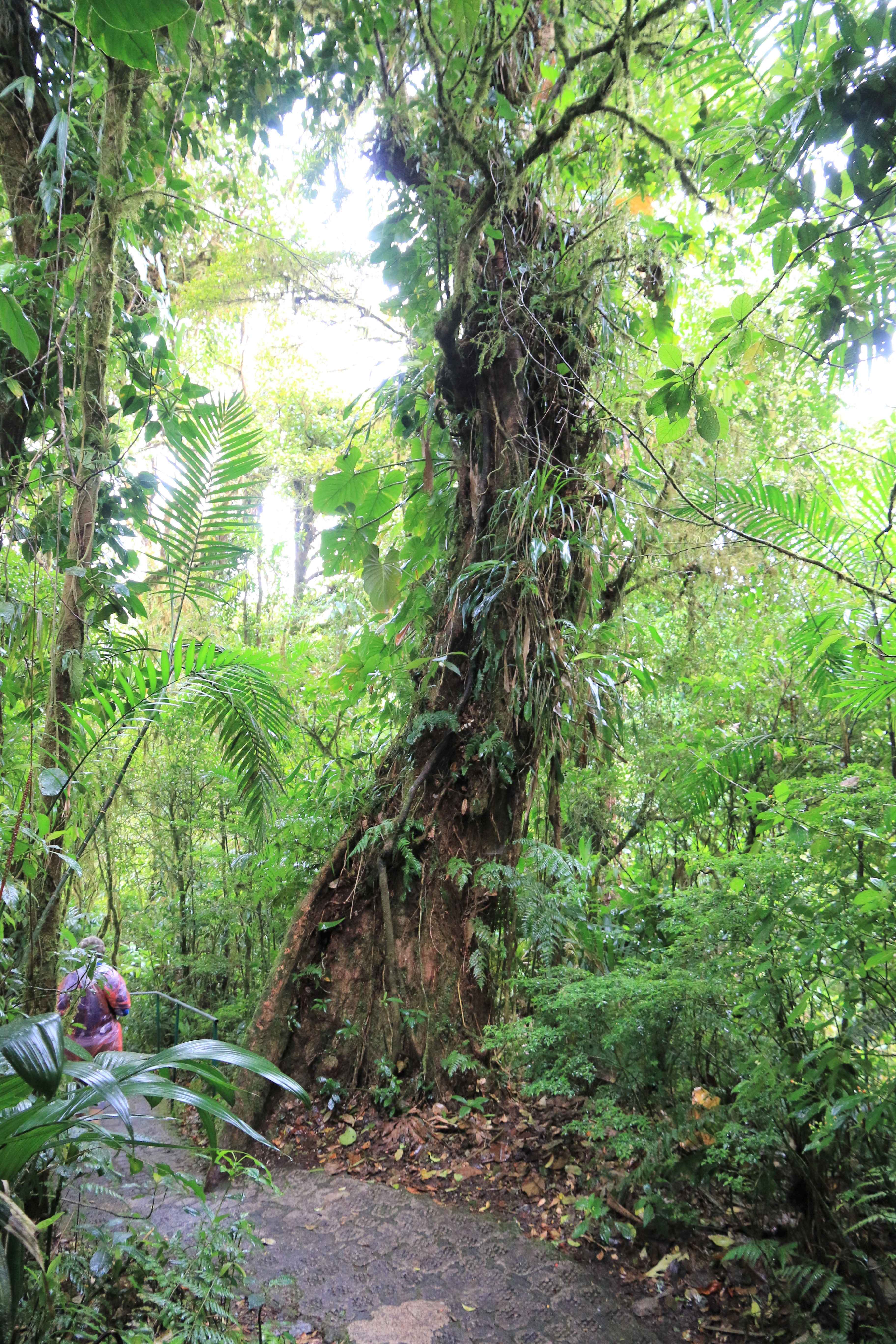 Costa Rica